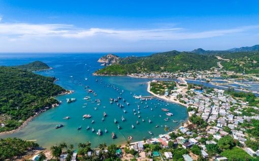 NINH CHỮ - VỊNH VĨNH HY