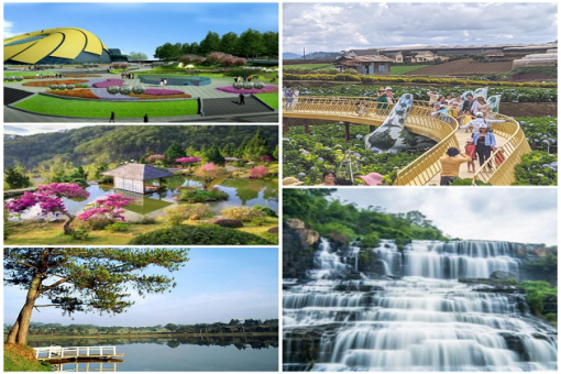 TOUR ĐÀ LẠT 2 NGÀY 2 ĐÊM