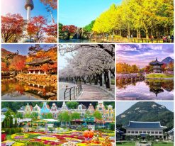 SEOUL – ĐẢO NAMI – EVERLAND – CÔNG VIÊN YEUIDO – THÁP NAMSAN