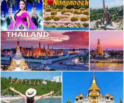 BANGKOK -PATTAYA - VƯỜN NHIỆT ĐỚI NONG NOOCH